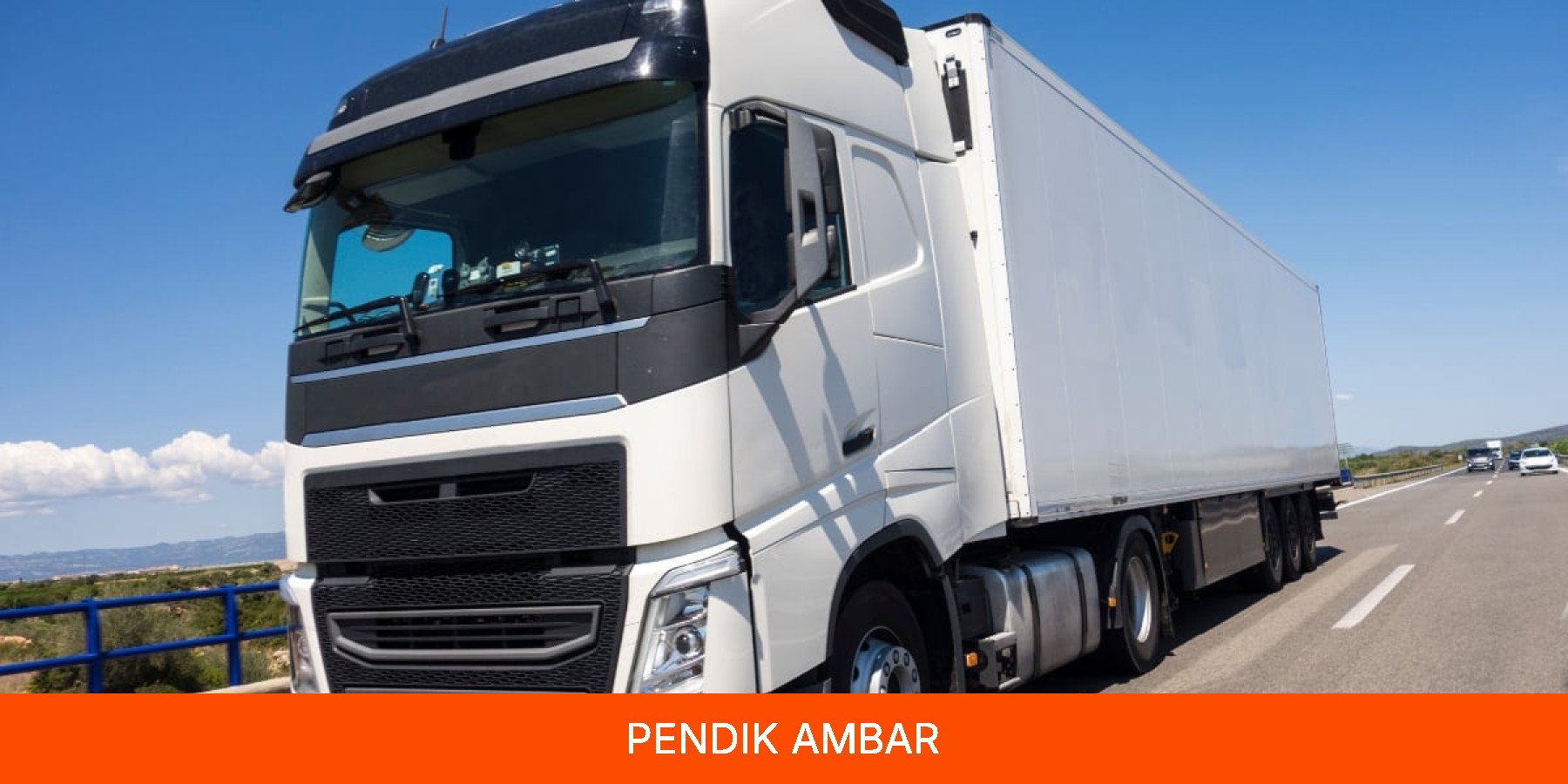 Pendik Ambar
